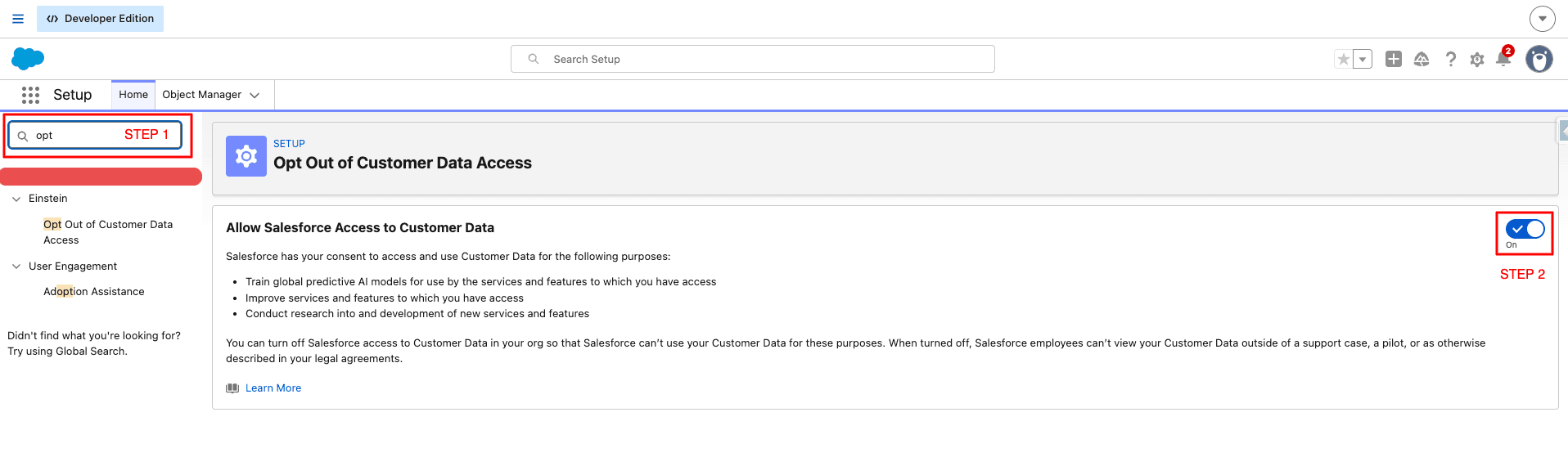 Salesforce Setup screen showing Opt Out of Customer Data Access search and the Allow Salesforce Access to Customer Data toggle
